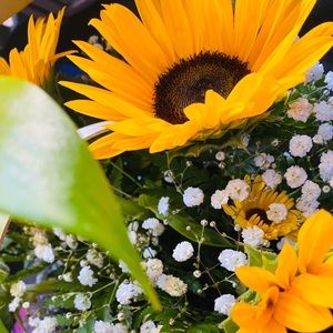 Meet your Posher, Katelyn